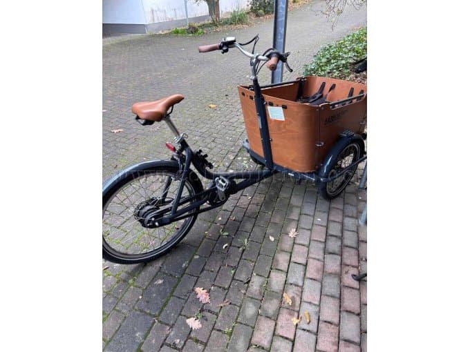 Cargo bike Babboe Curve Mountain