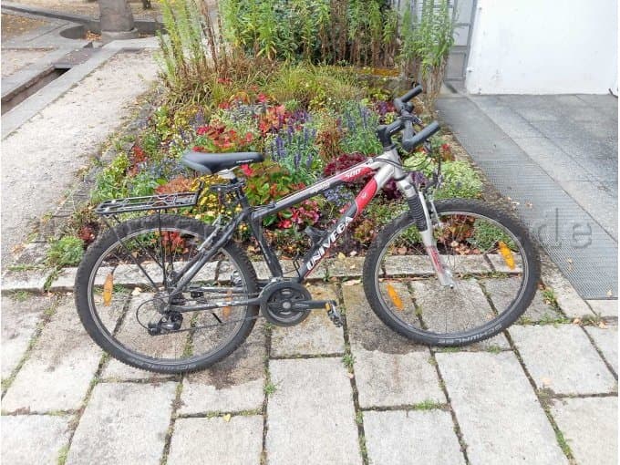 Mountain bike of the brand Univega 20 inch