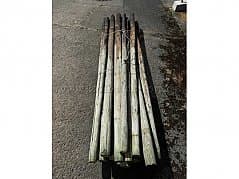 Lot of 250 Tree Stakes